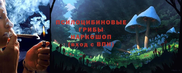 2c-b Белокуриха