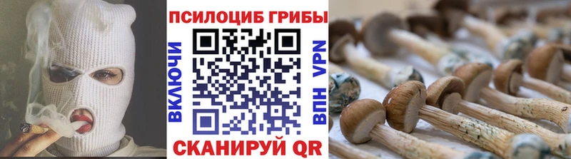 Псилоцибиновые грибы мицелий  Коряжма 